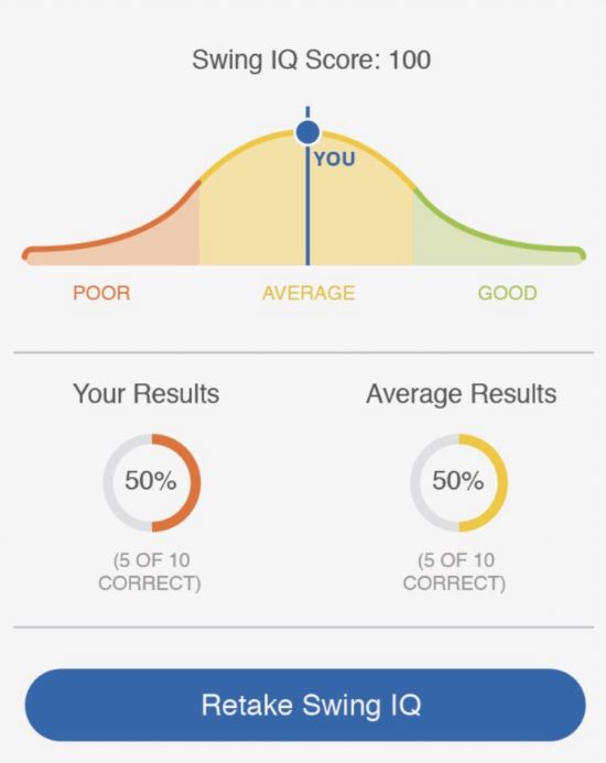 Swing IQ The Golf Swing Dictionary