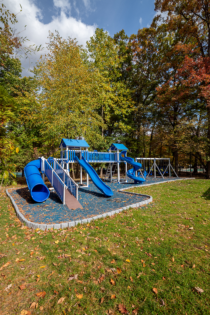 *CUSTOM* Blue Haven Playset SwingIt Playsets