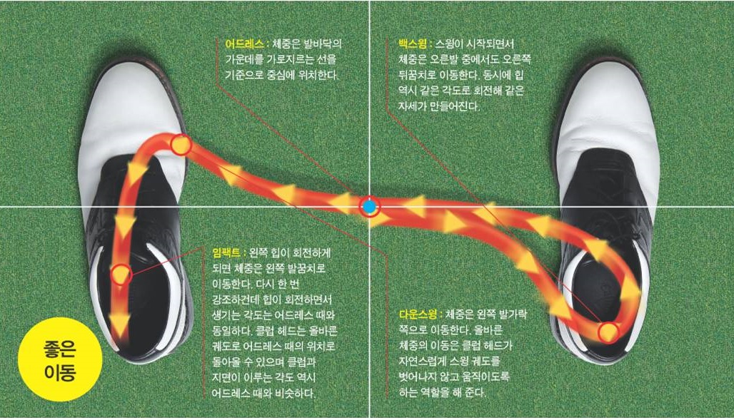 Golf Swing Weight Transfer Aneka Golf