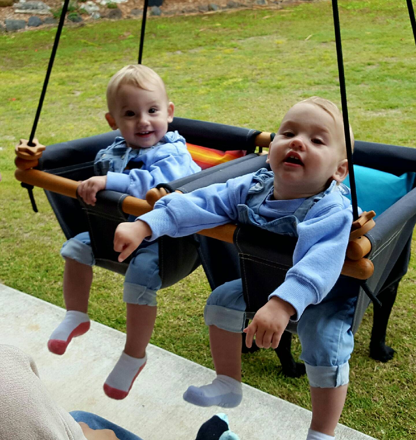 Baby Toddler Twins Swing