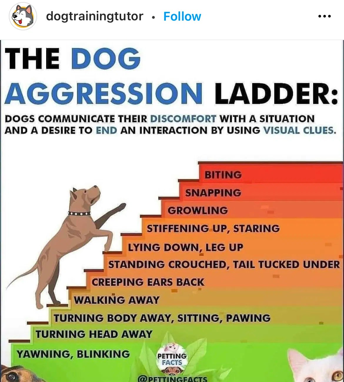 Dog Aggression Chart Swipe File