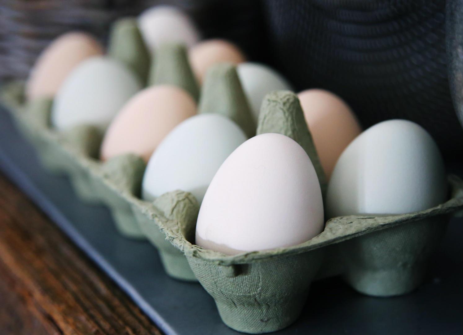 Does Egg Color Matter? Nutrition Has Nothing To Do With It