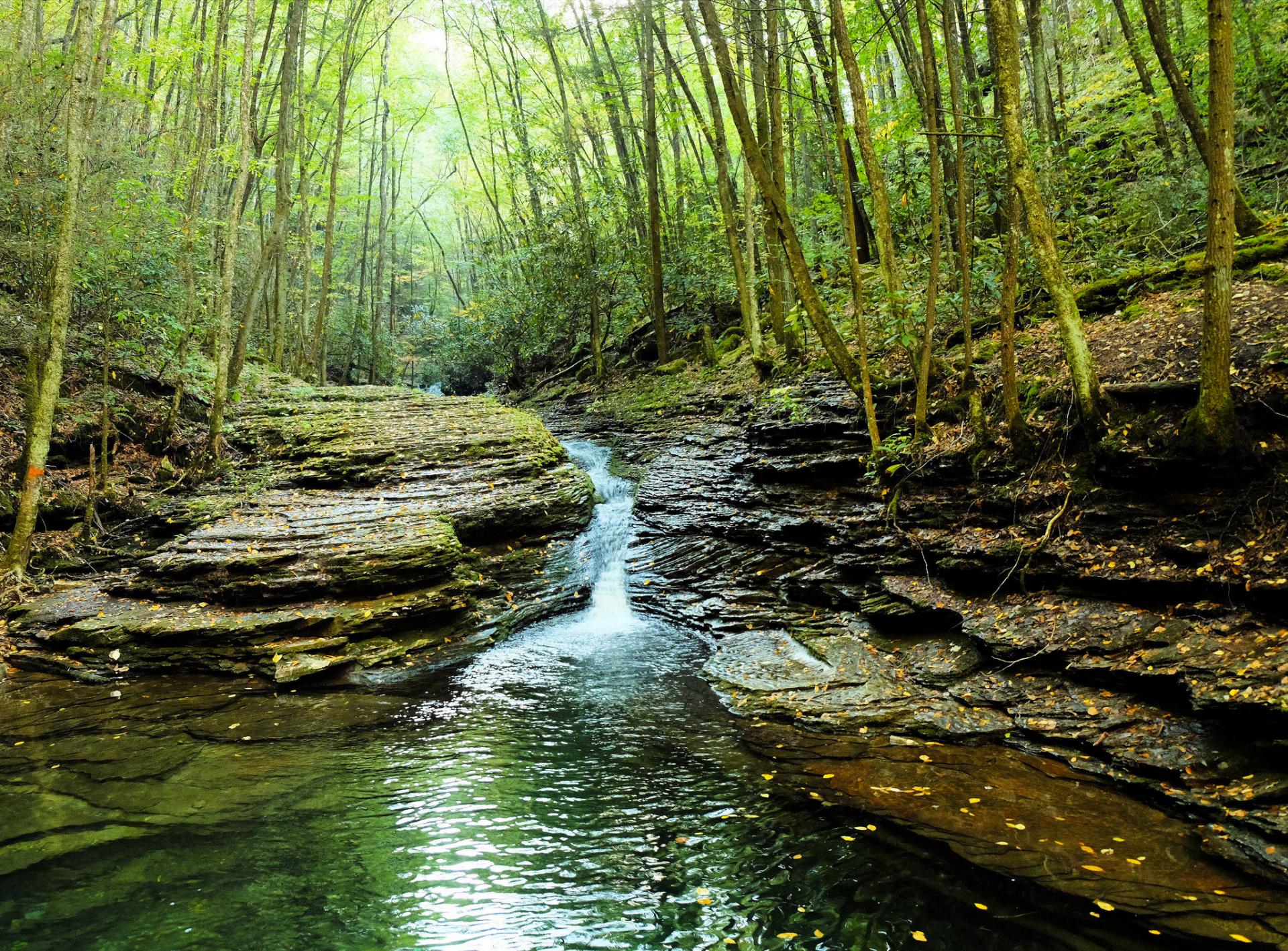 Devils Bathtub Hike In Virginia Is A Thrill