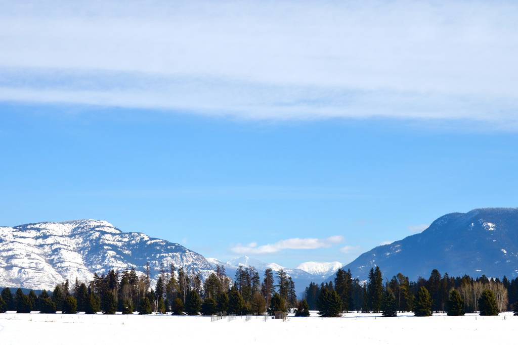 Montana Treehouse Airbnb 30 Minutes From Glacier National Park