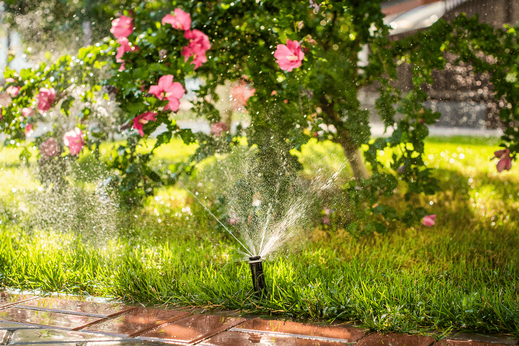 Sprinkler Repair Near Me? Southwest Irrigation
