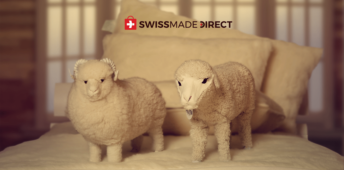 Back to Nature The Benefits of Merino Wool vs Cashmere SwissMade Direct
