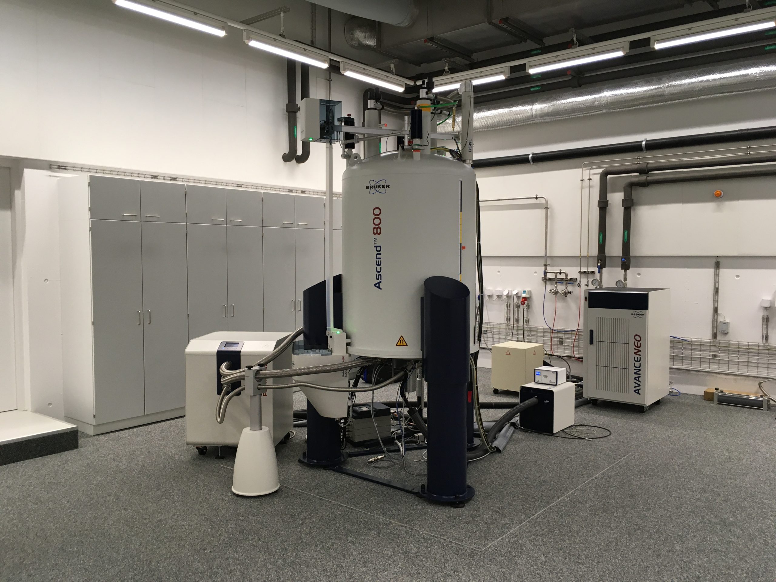 800 MHz Bruker NMR spectrometer swissnmr.ch