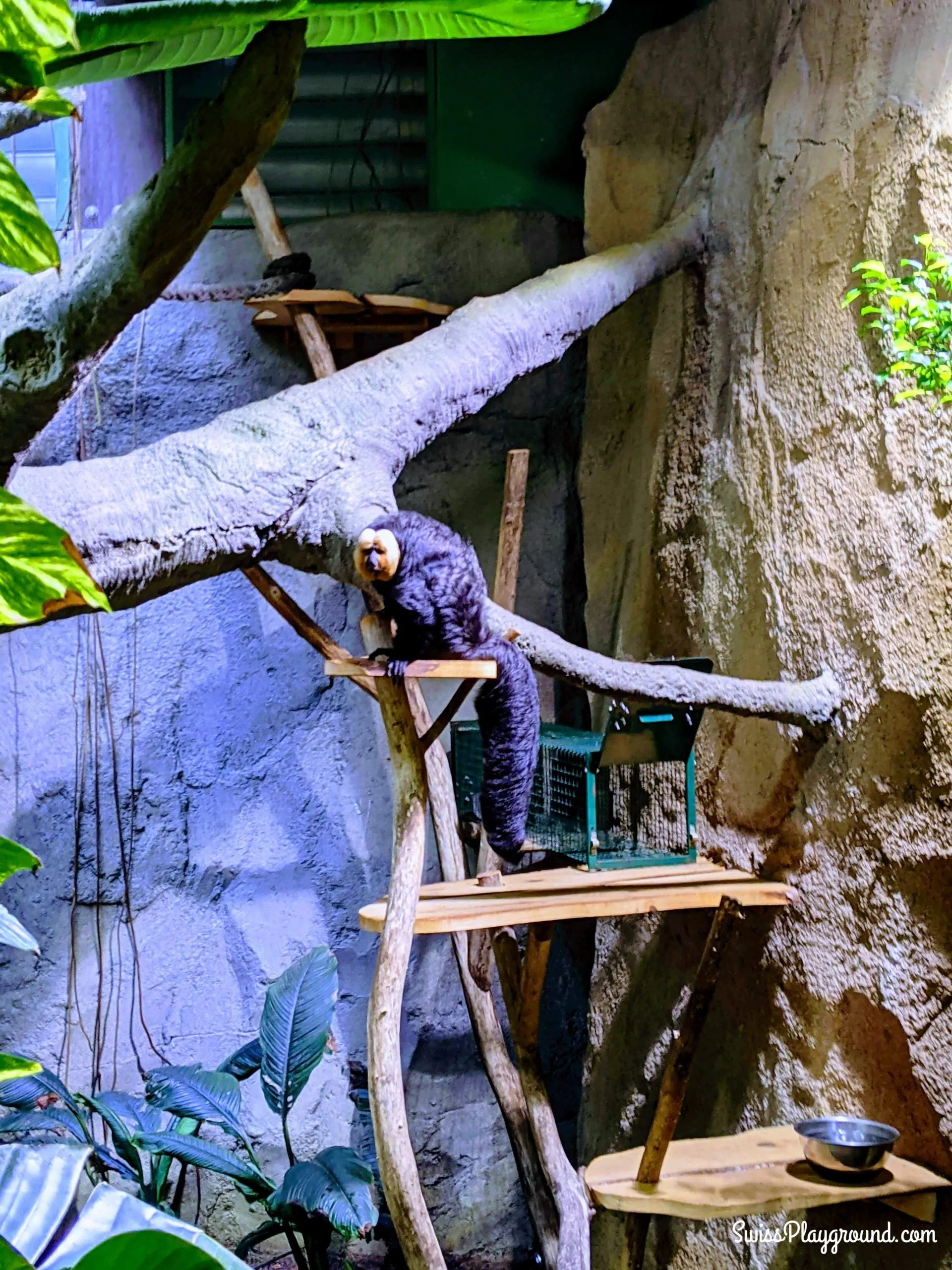 Aquatis AquariumVivarium in Lausanne, Switzerland Swiss Playground