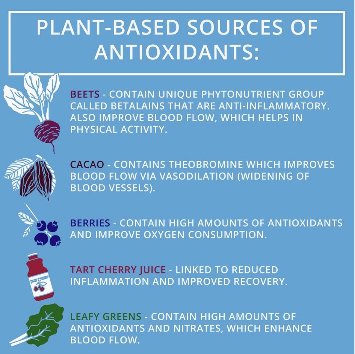 Antioxidants and Athletic Performance Switch4Good