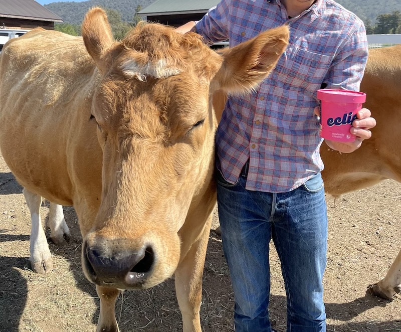 DairyFree Ice Cream Company Rescues Dairy Cows Switch4Good