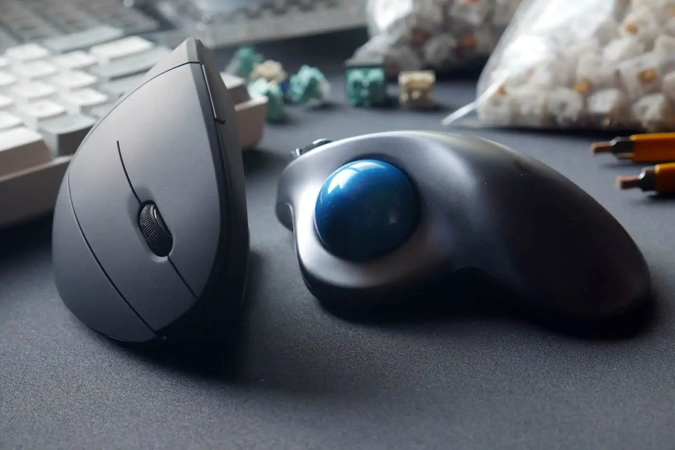 Vertical vs Trackball Mouse How To Decide Switch and Click