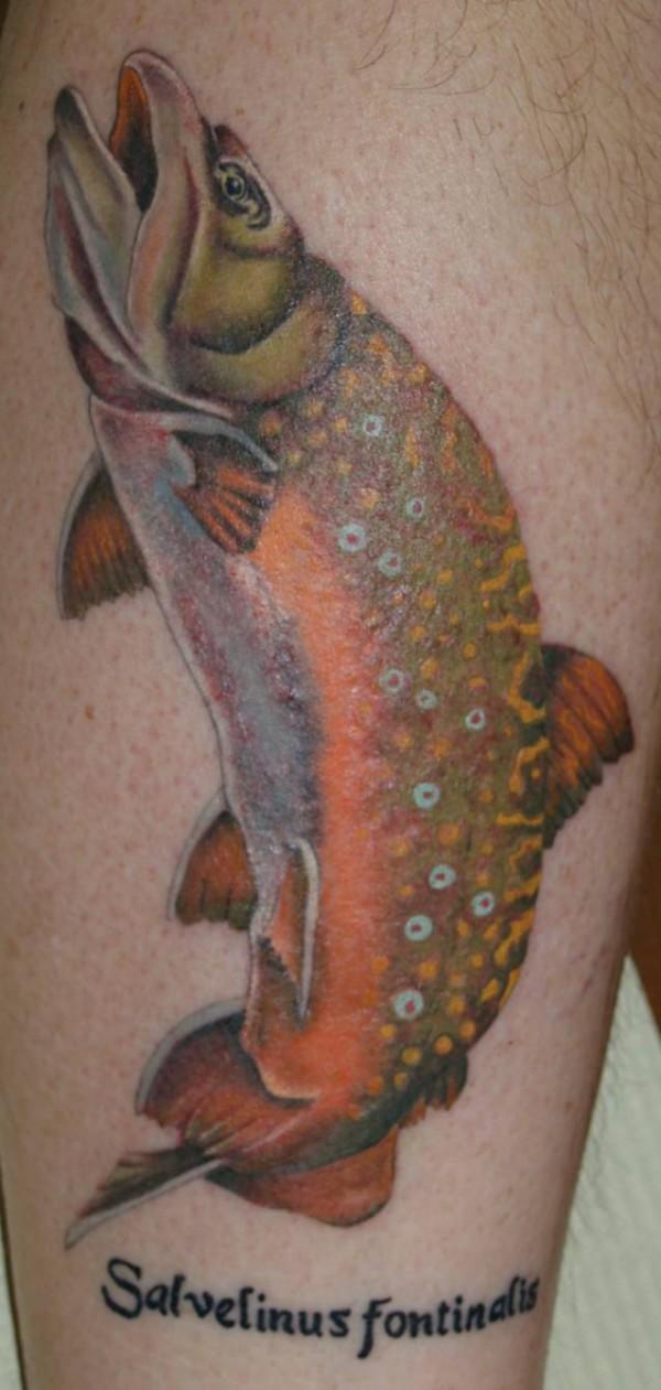 Tattoo Work: Brook Trout On Phillip Synhorst – Swittersb & Exploring 1261_x_600_jpg