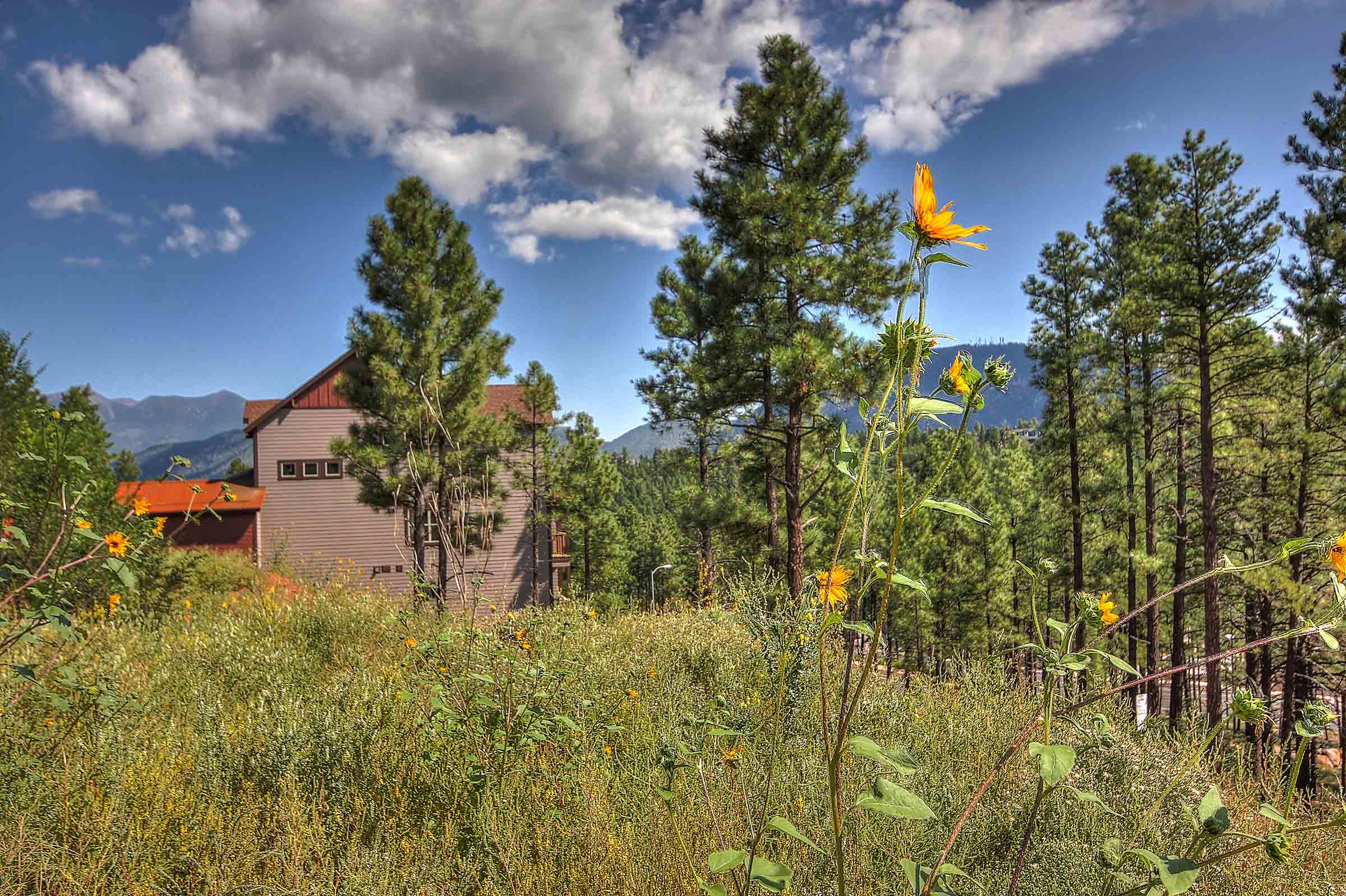 Outside Townhomes at Switzer Canyon