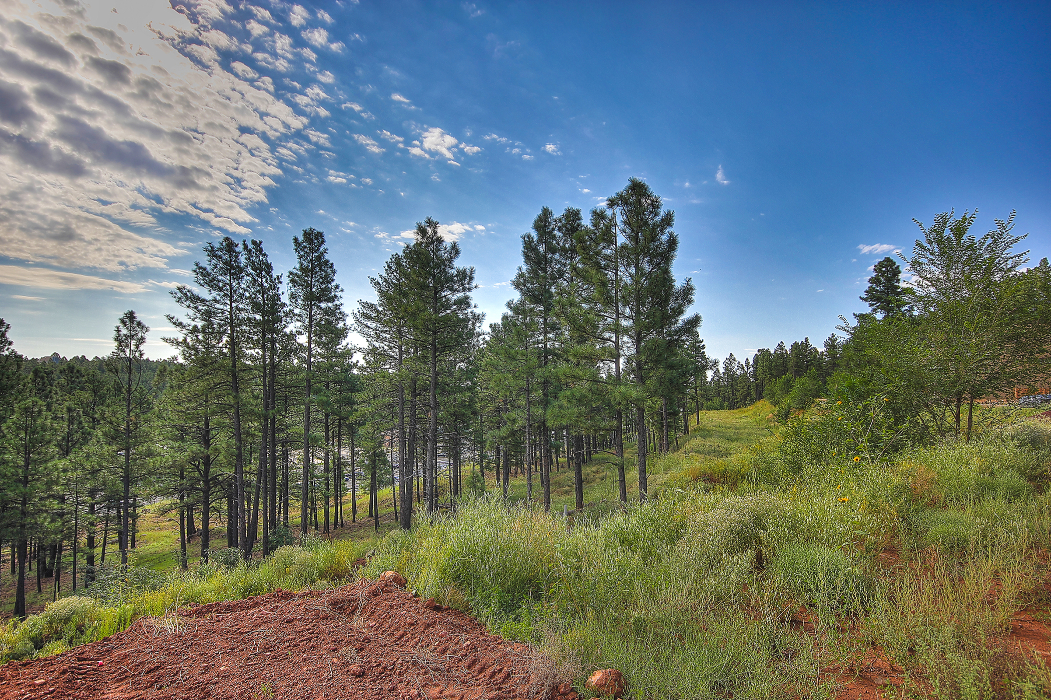 Views1 Townhomes at Switzer Canyon