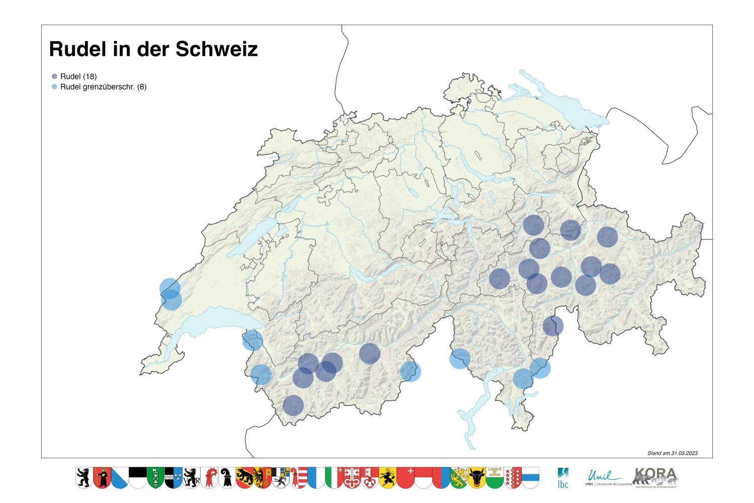 The Return of Wolves in Switzerland A Look at the Impact and