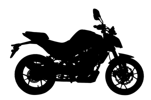 NAKED – SWM Motorcycles