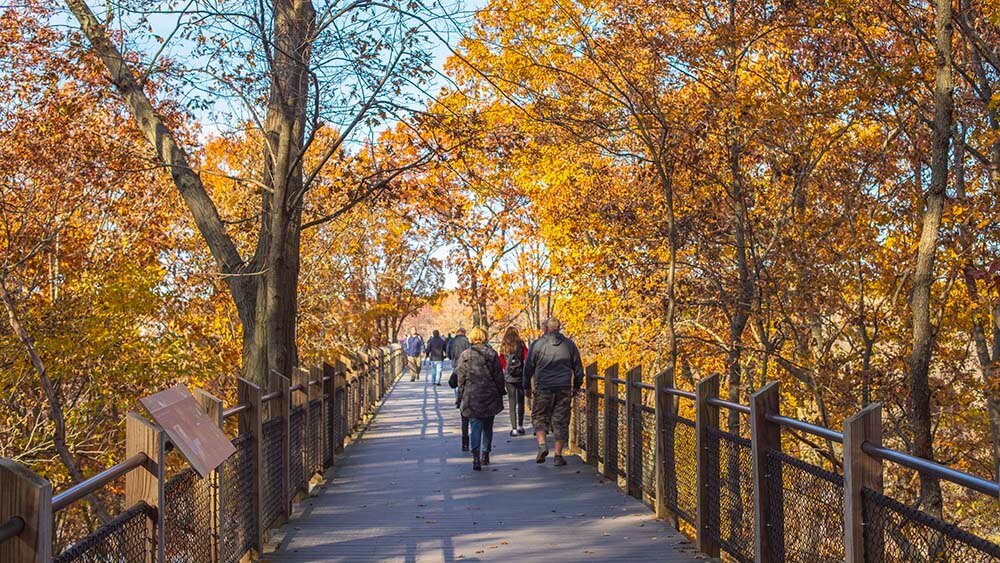 Southwest Michigan Fall Color Report Southwestern Michigan Tourist
