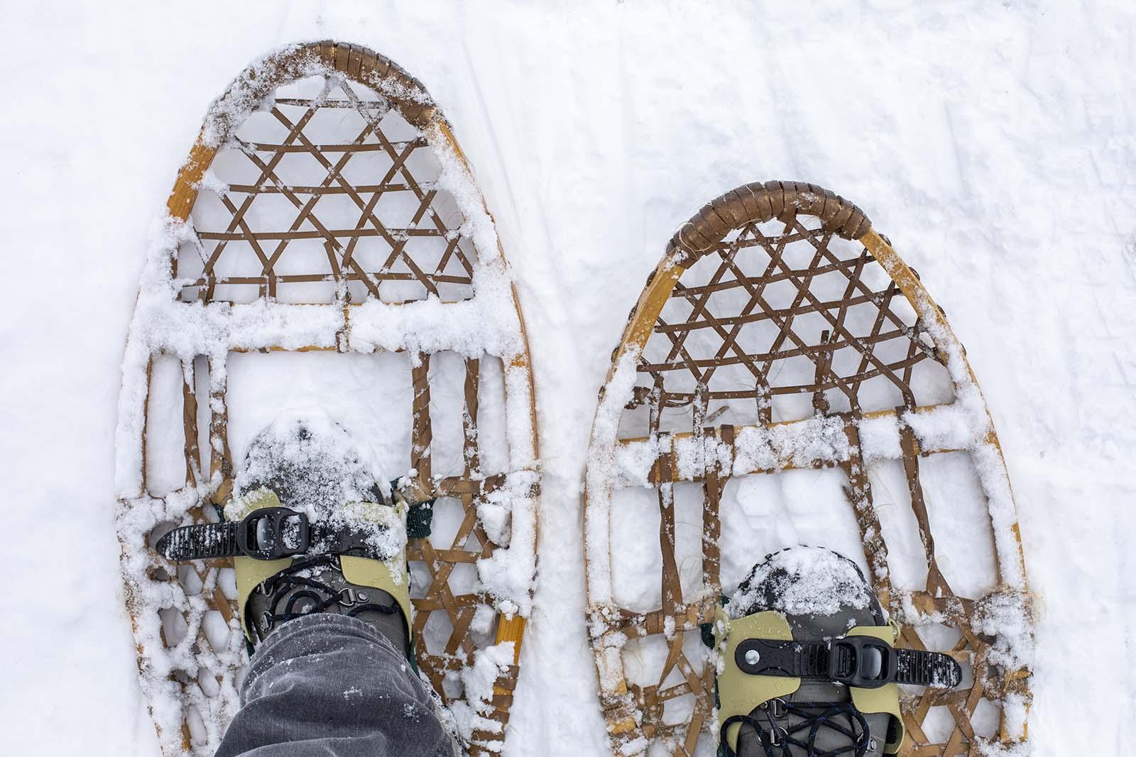 Madeline Bertrand County Park A winter activity wonderland