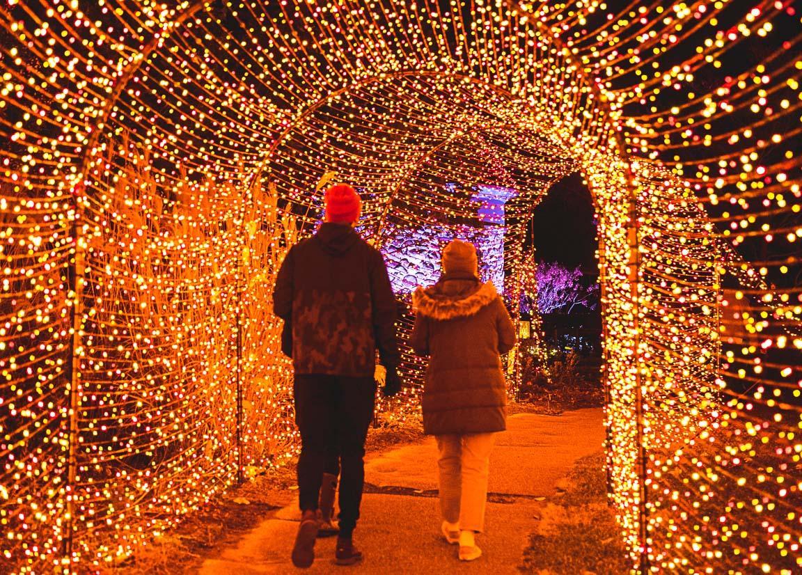 Walk through Christmas lights in Southwest Michigan Southwestern