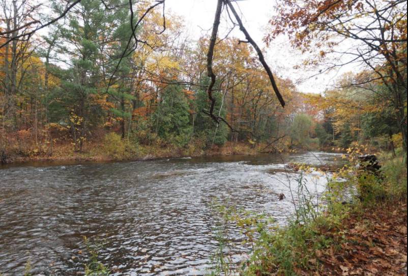 White River Schrems West Michigan Trout Unlimited
