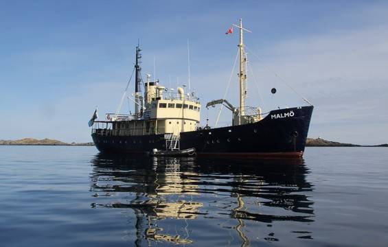 M/S Malmo Arctic Ship Swoop Arctic