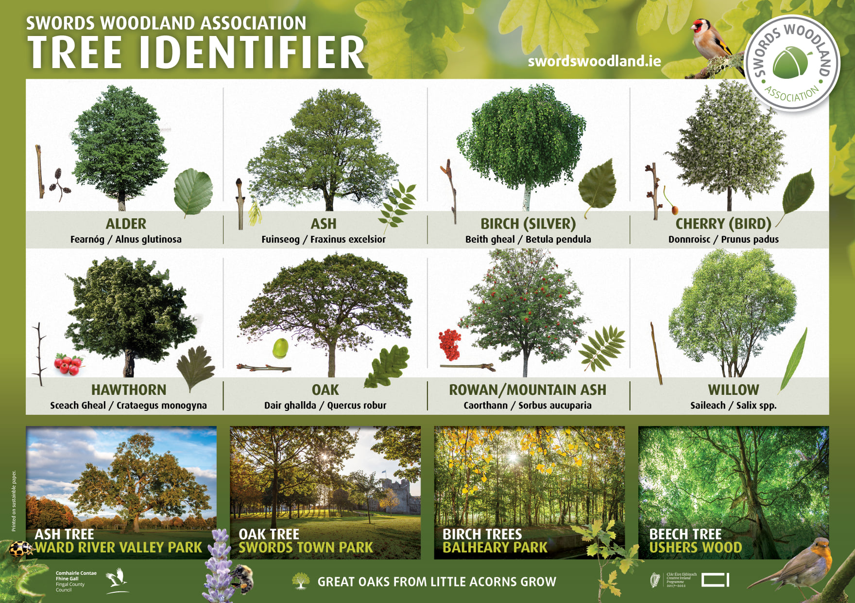 Tree Art Competition Swords Tidy Towns