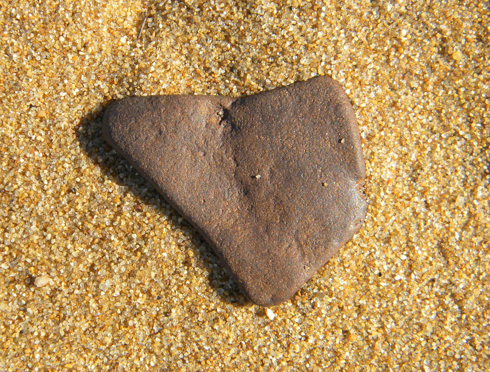 I heart Betterton Beach swordwhale