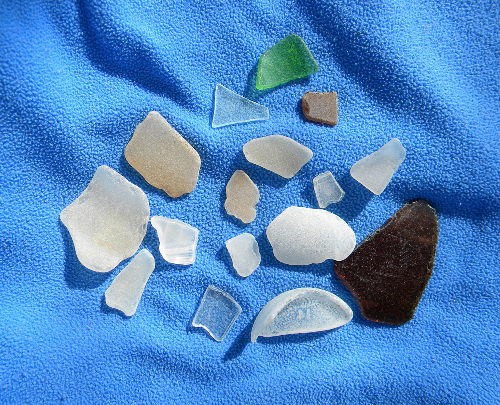 I heart Betterton Beach swordwhale