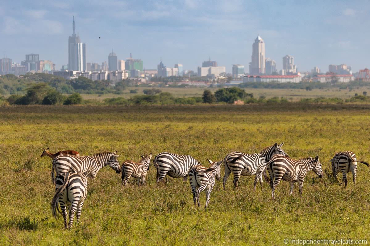 5 Must Visit Places in Nairobi Secret World