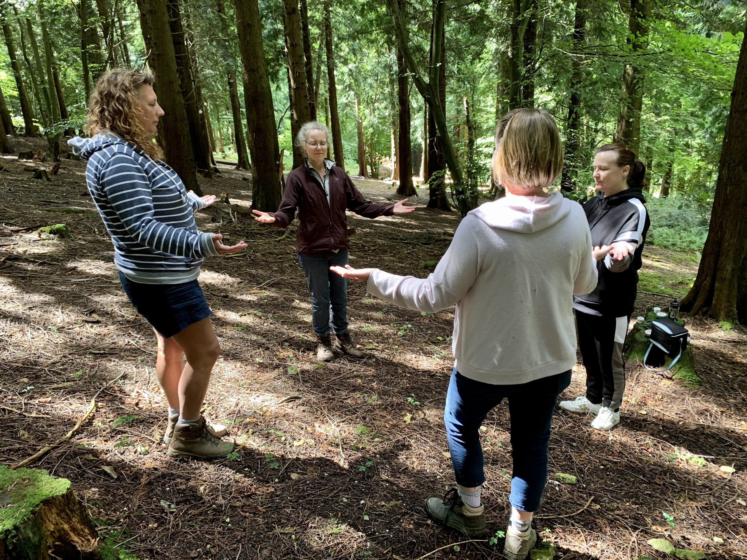 Forest Bathing in Winchester SWR Rewards