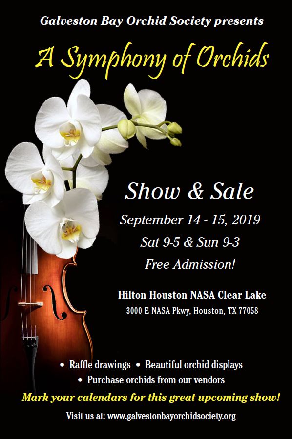 Galveston Calendar Of Events August 2023 Galveston Bay Orchid Society FALL 2019 SWROGA SHOW SWROGA Web
