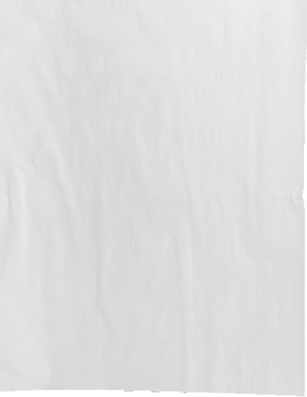 Newsprint Plotter Paper S.W Specialty Papers