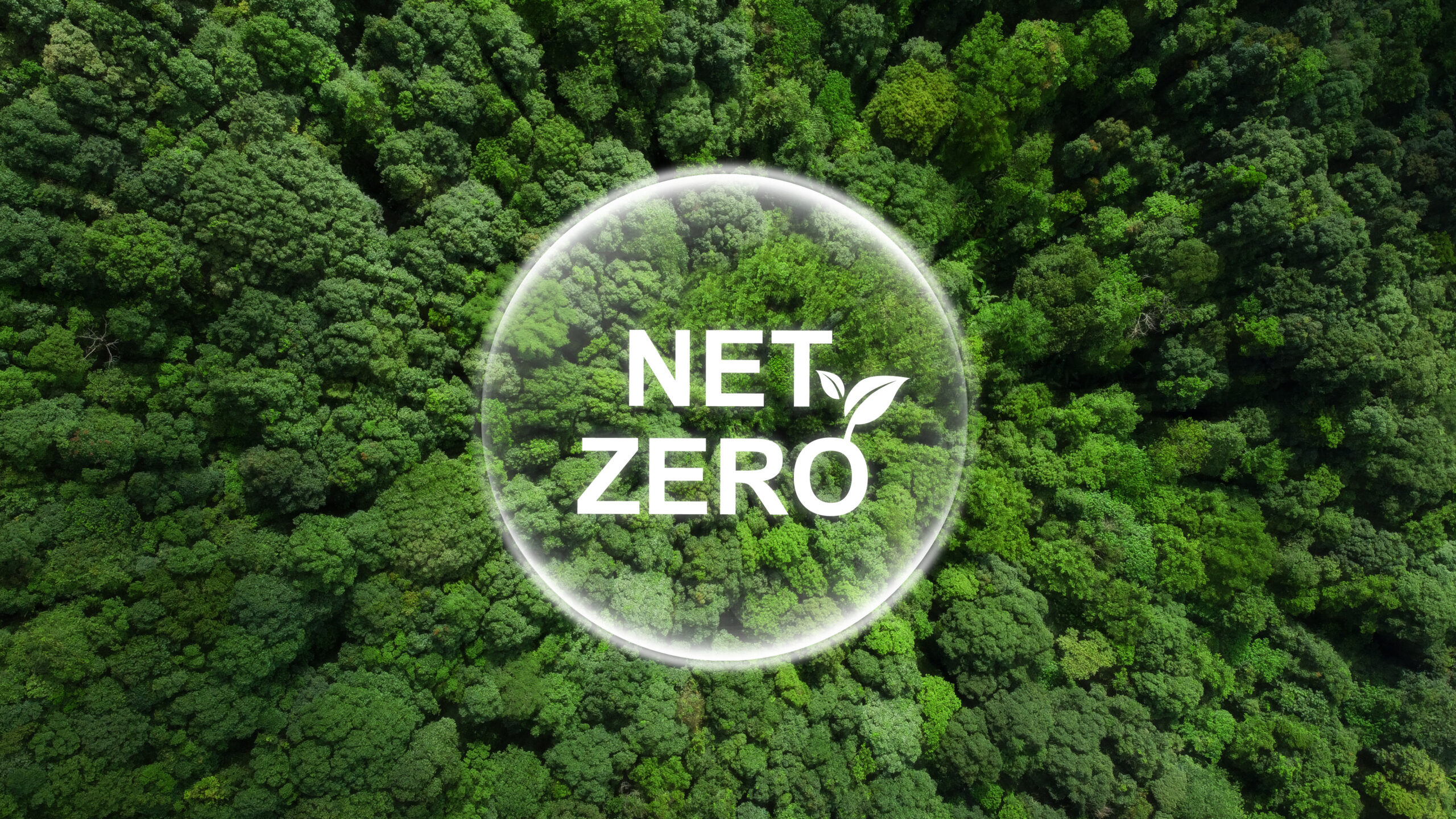 What is Net Zero and Where Does SW Stand? SW Sustainability Solutions