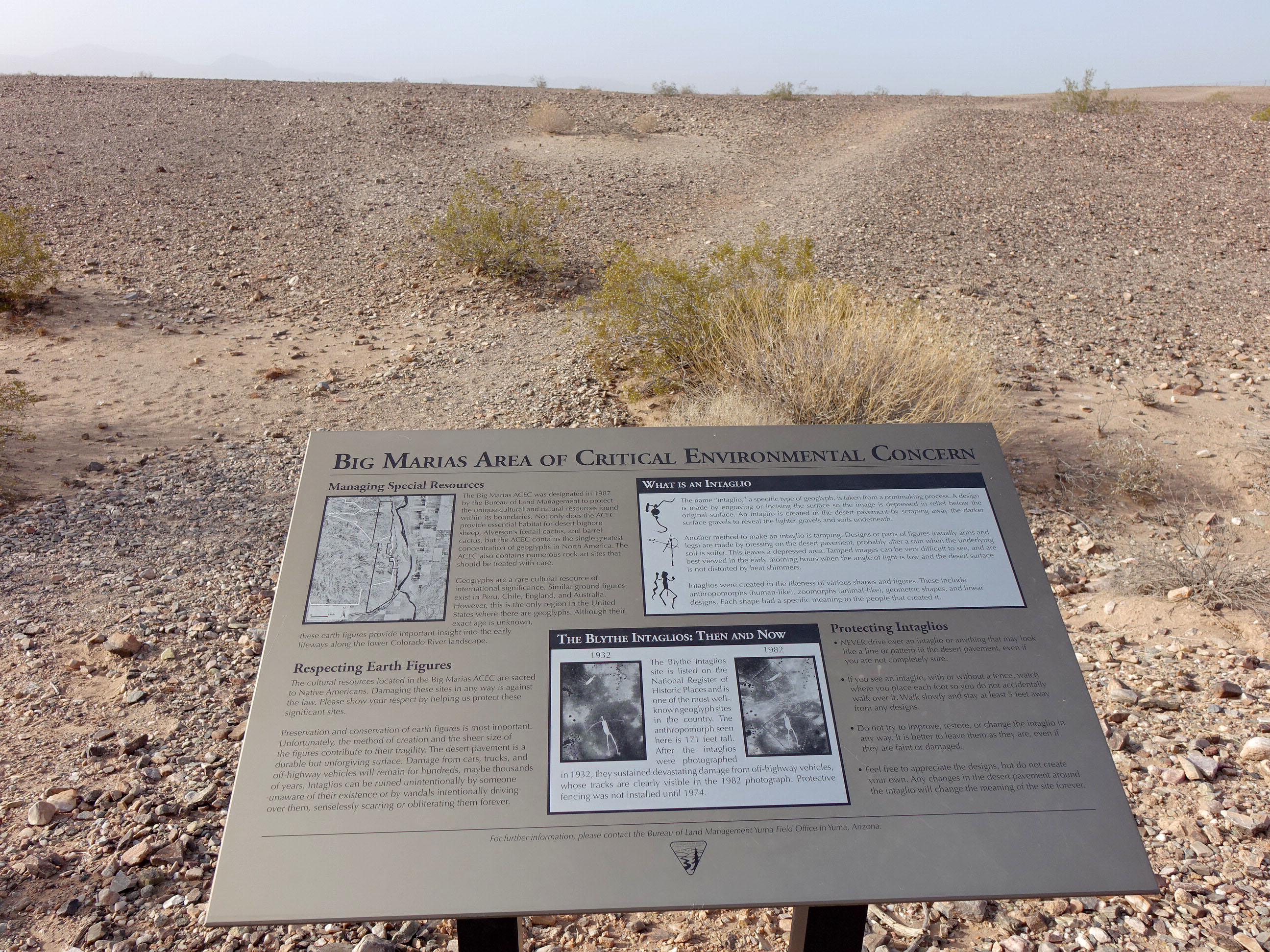 Blythe California Giant Desert Figures April 2016