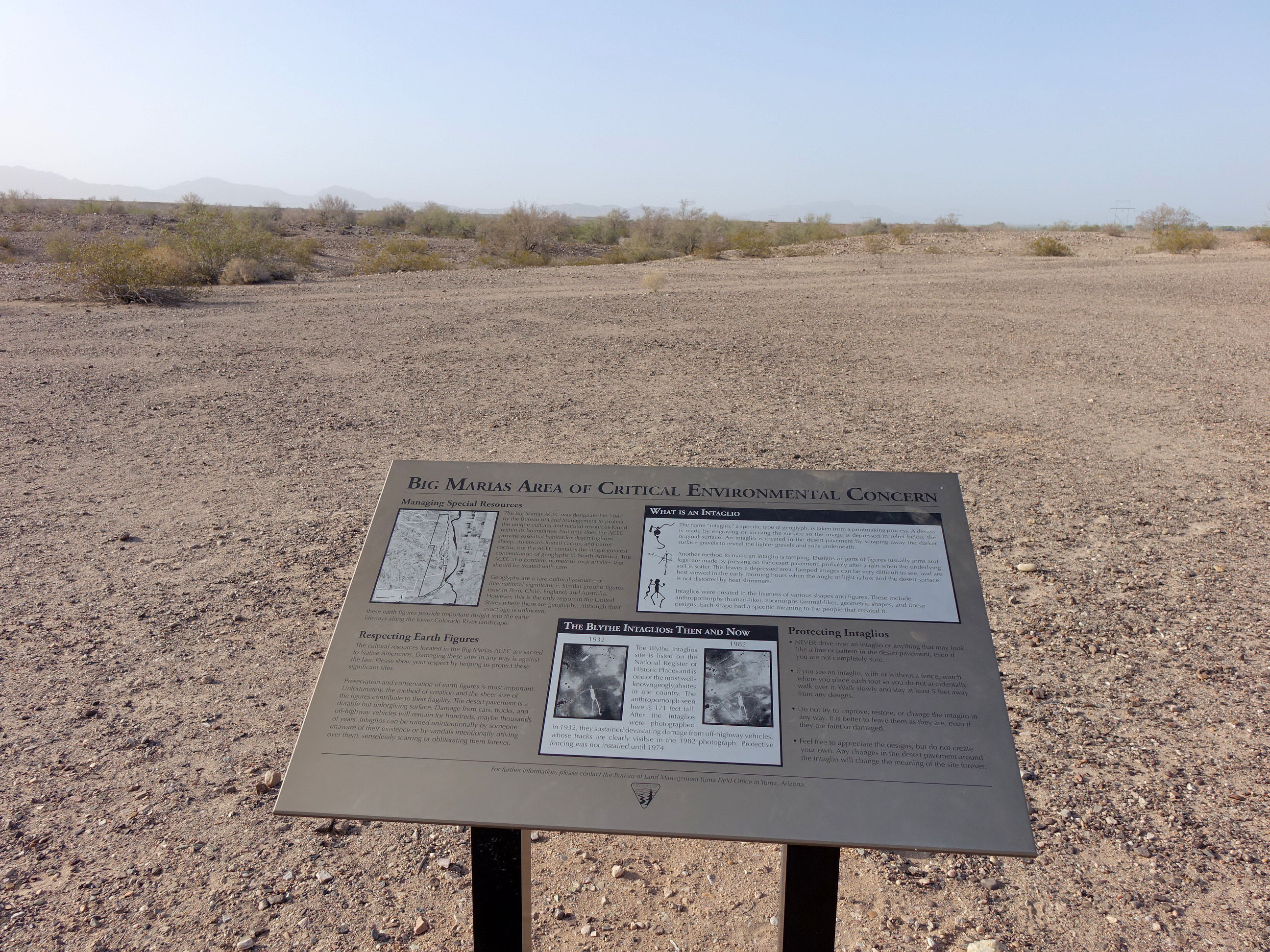 Blythe California Giant Desert Figures April 2016