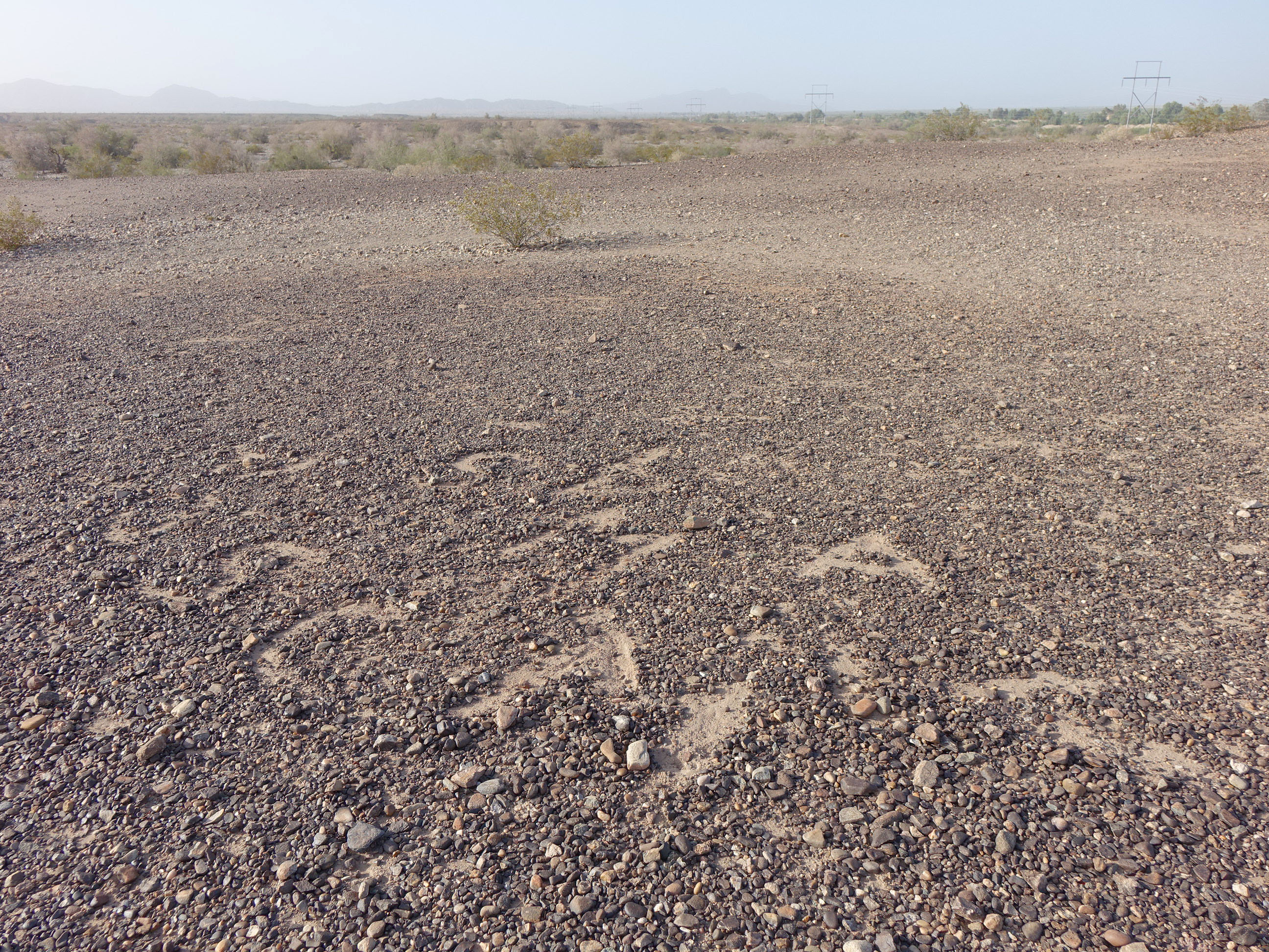 Blythe California Giant Desert Figures April 2016