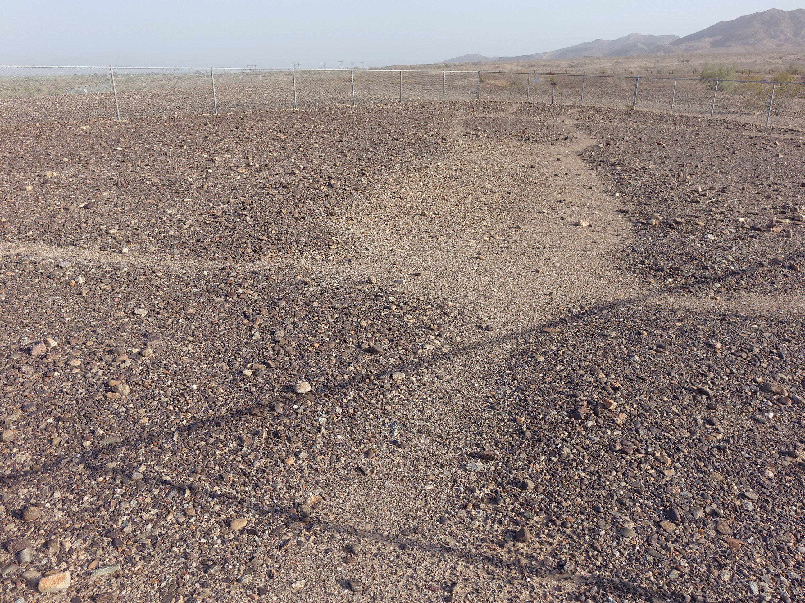 Blythe California Giant Desert Figures April 2016