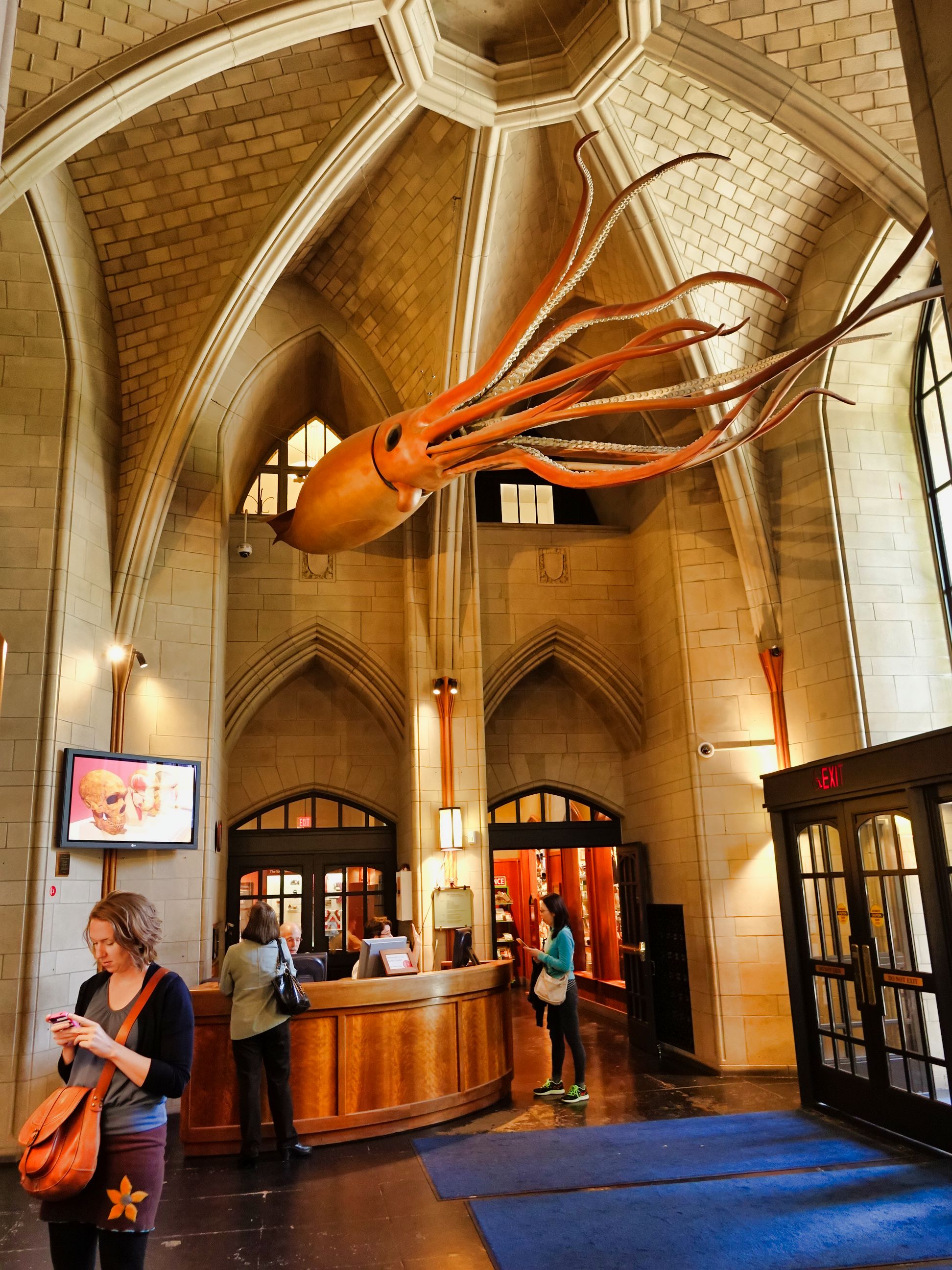 Yale New Haven Peabody Museum June 2015