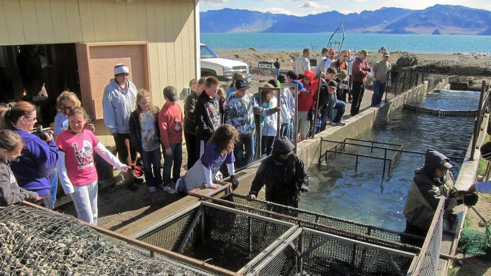Mescalero Tribal Fish Hatchery at Rosanne Maxwell blog