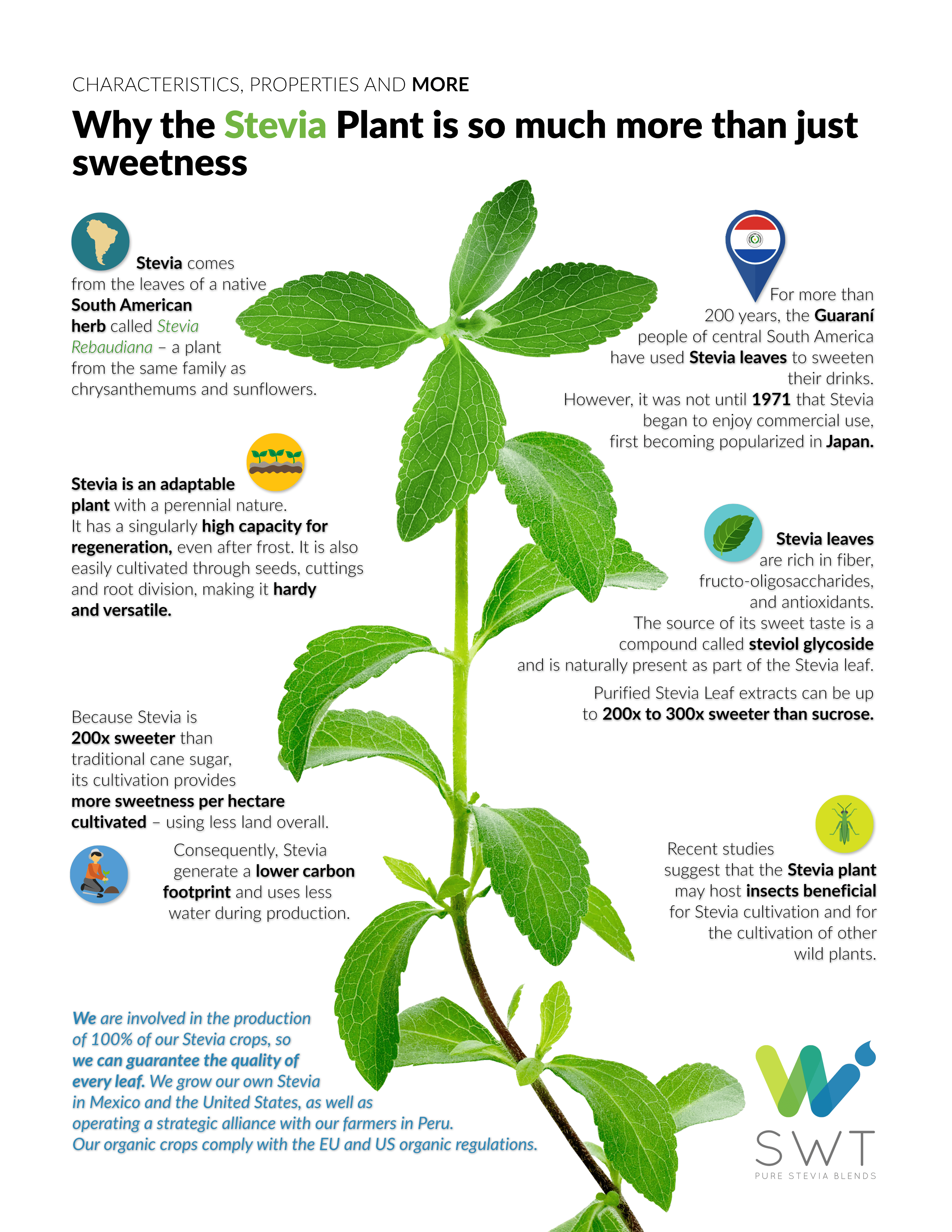 Infographic Stevia Stevia Herbs Coconut Health Benefi vrogue.co