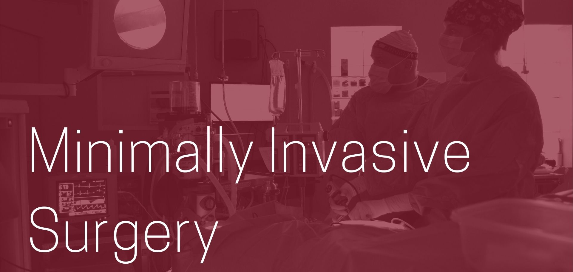 Services Southwest Veterinary Surgical Service