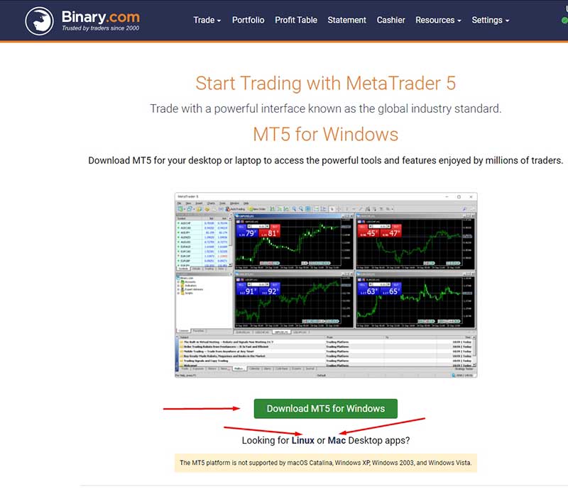Deriv Metatrader 5 FRANKFX TRADING ACADEMY