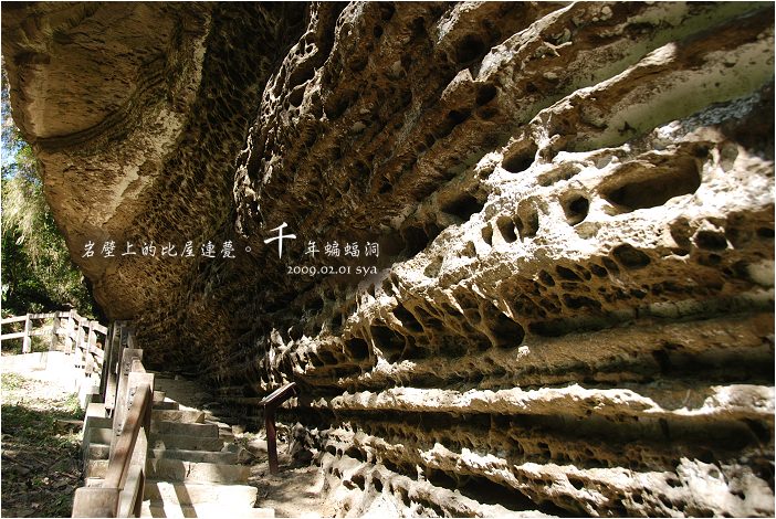 千年蝙蝠洞 | 岩壁上的比屋連甍，來到阿里山可以安排順遊的健行景點