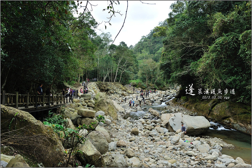 【苗栗 步道景點】蓬萊溪生態賞魚步道