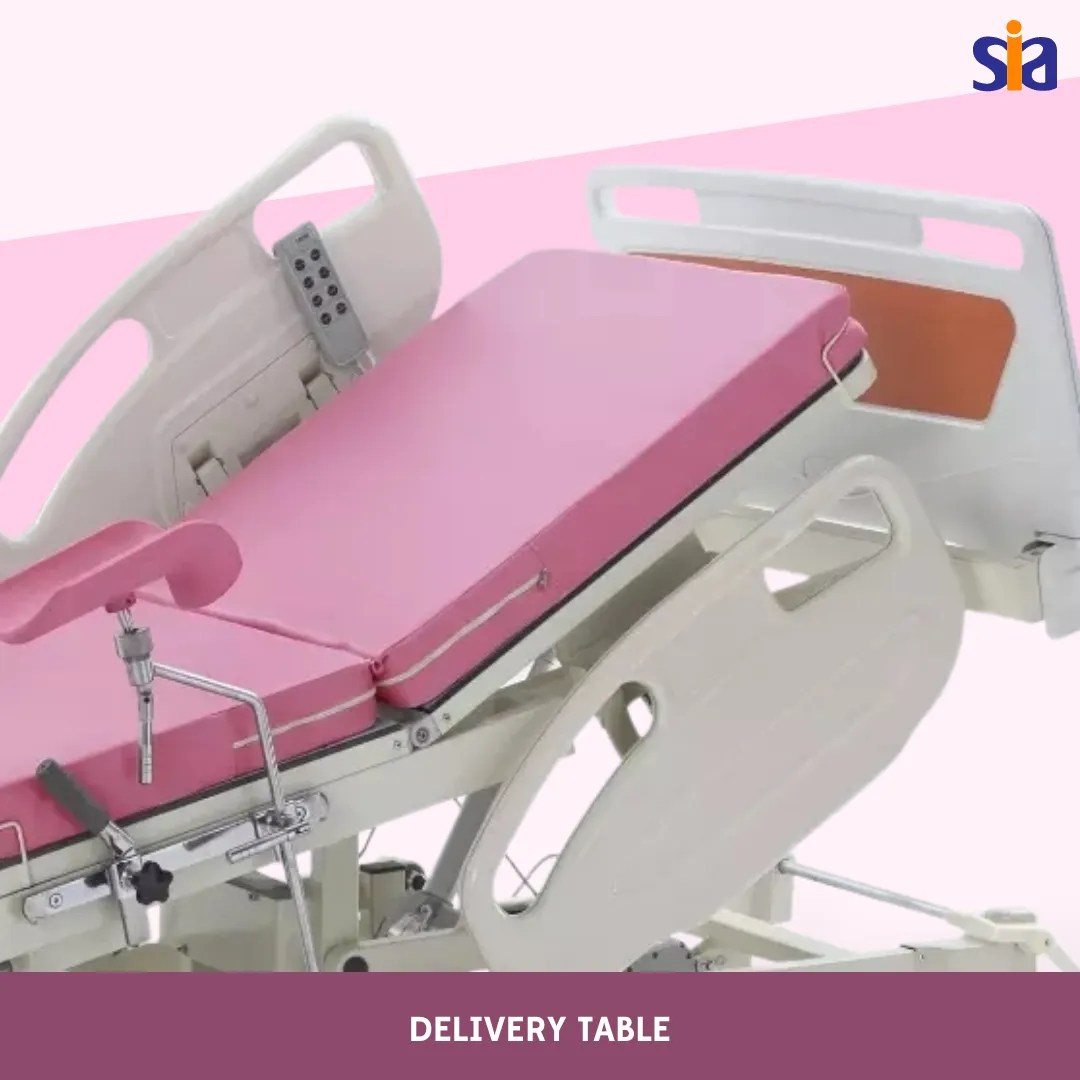 Delivery Table Syana India Associates