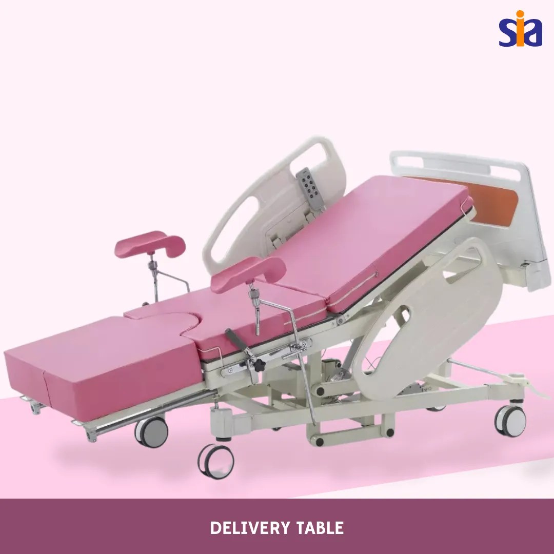 Delivery Table Syana India Associates