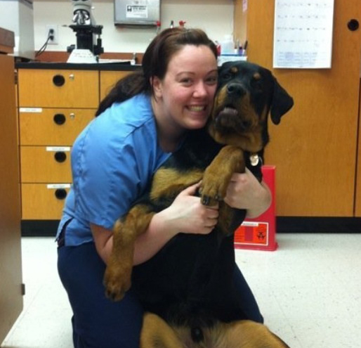 Our Team Sycamore Creek Animal Hospital Sycamore Creek Animal Hospital