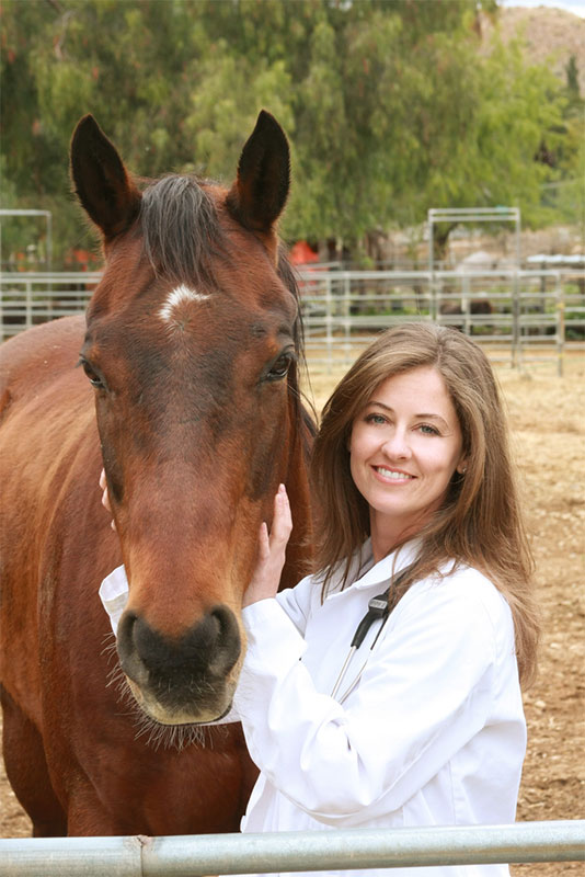 DVM Dr. Amy AndrichCard Sycamore Creek Animal Hospital Sycamore