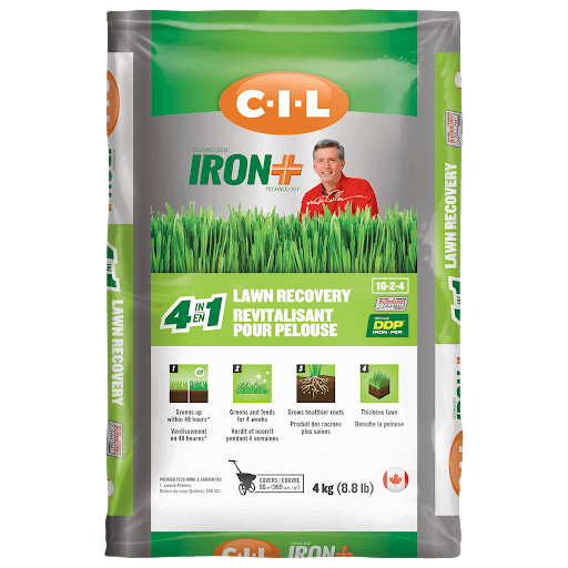 Lumberjack Home Building Centre in Dresden