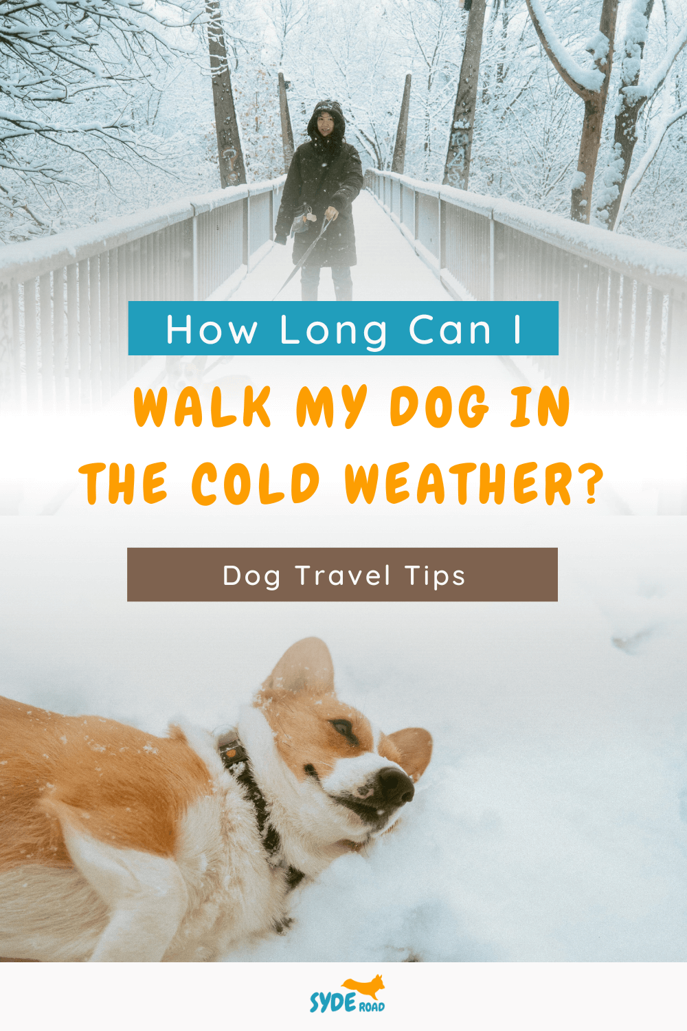 When Is It Too Cold To Walk Your Dog In Canada? SYDE Road